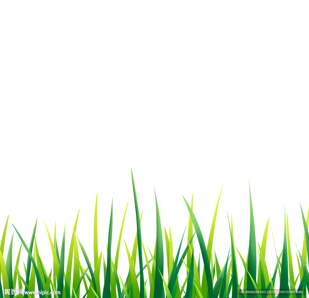 绿色插画草地元素