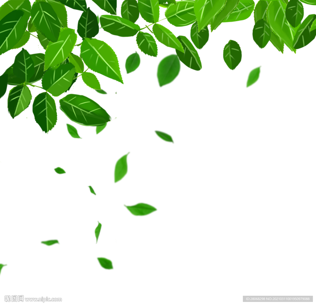 卡通装饰绿色树叶元素