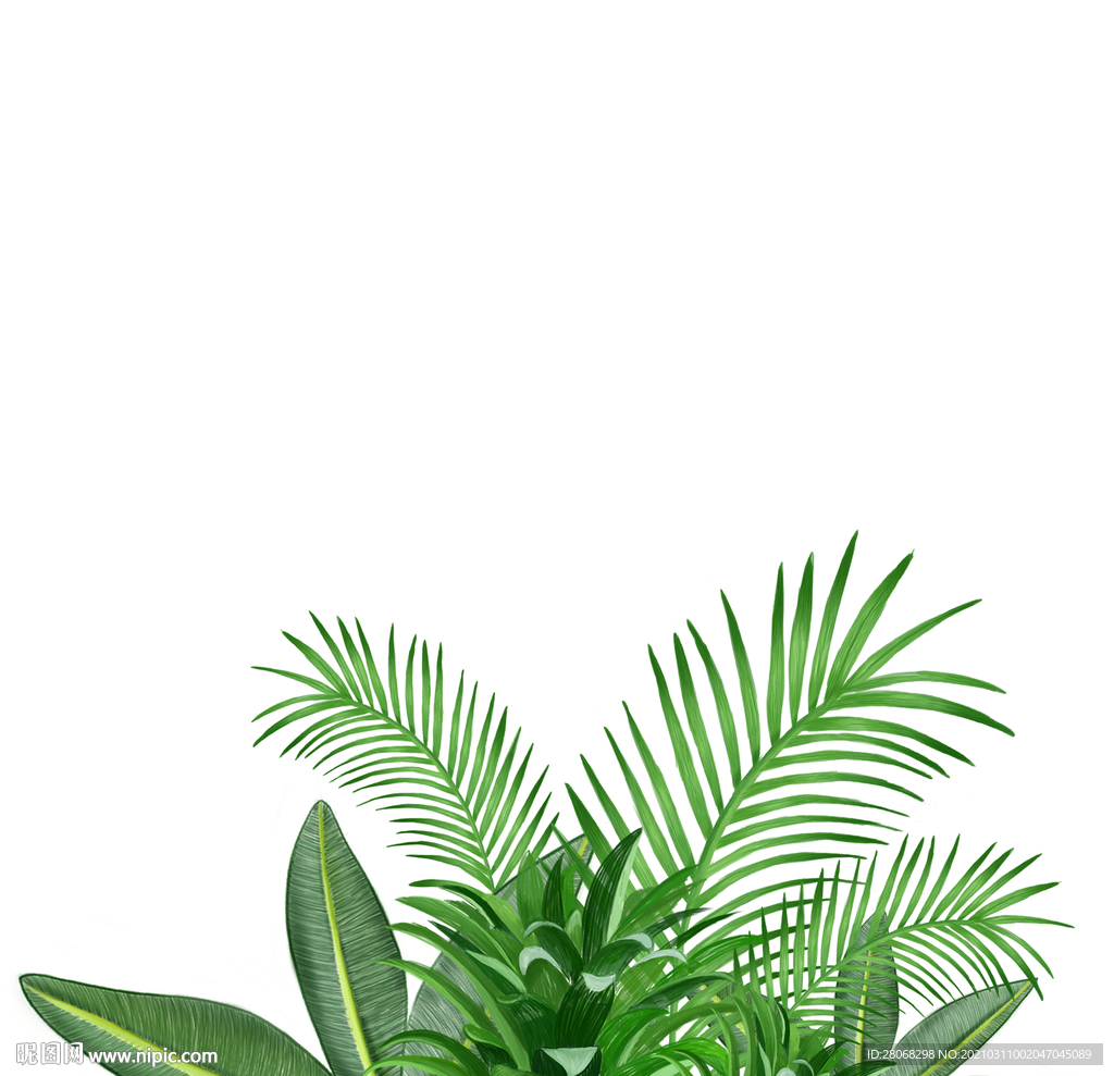 绿色装饰植物芭蕉叶元素