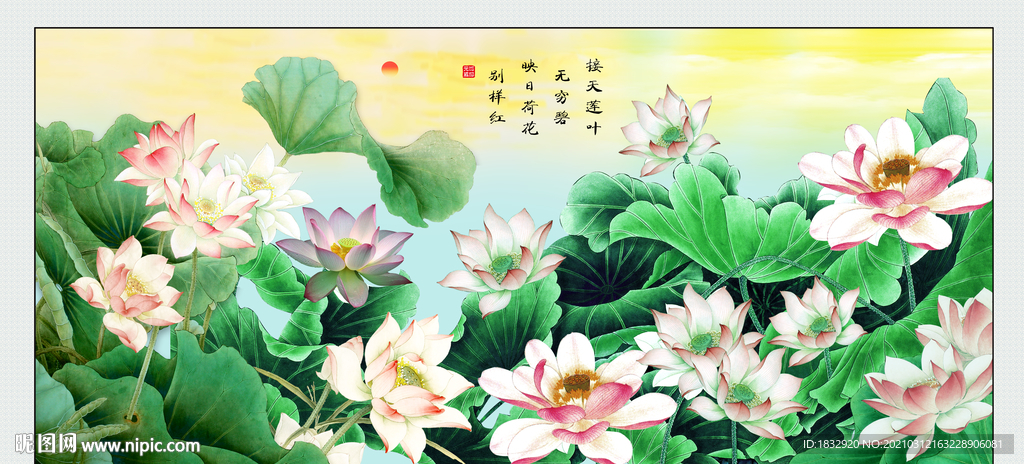 荷花