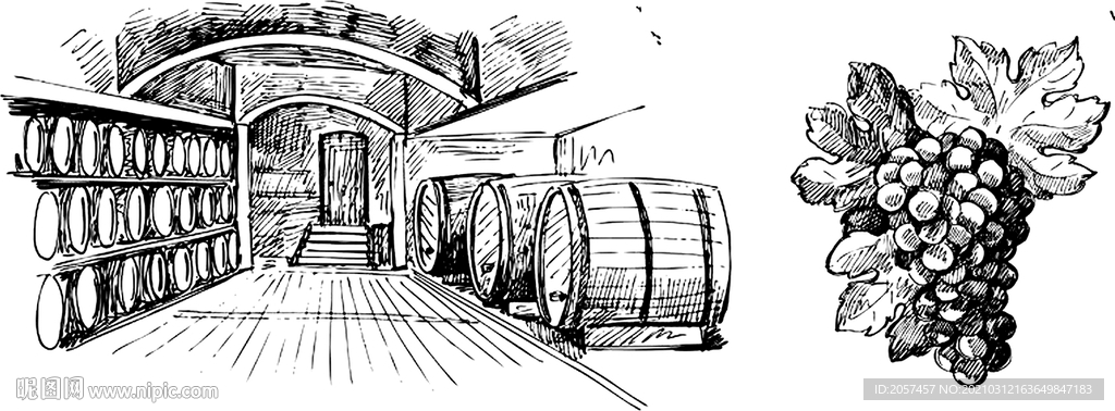 酒窖 葡萄 手绘 黑白 图案