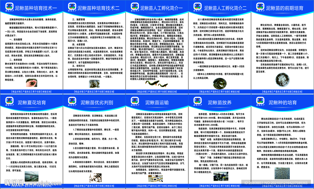 水产泥鳅特性简介