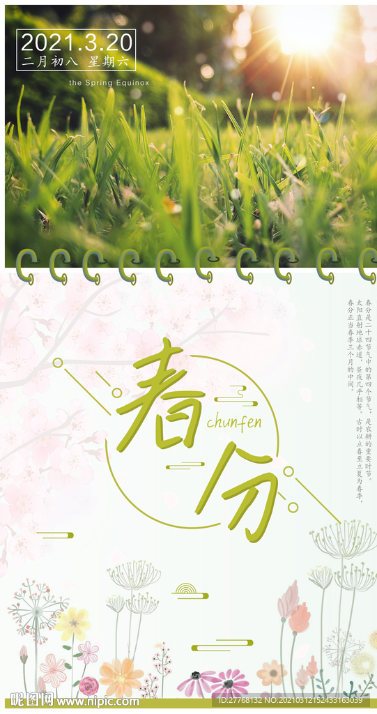 春分小清新海报