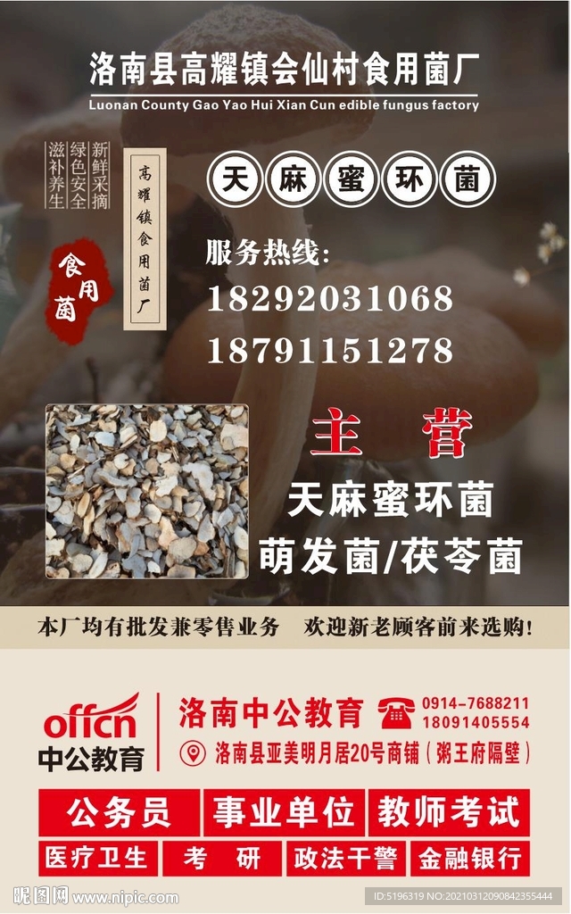 食用菌厂海报