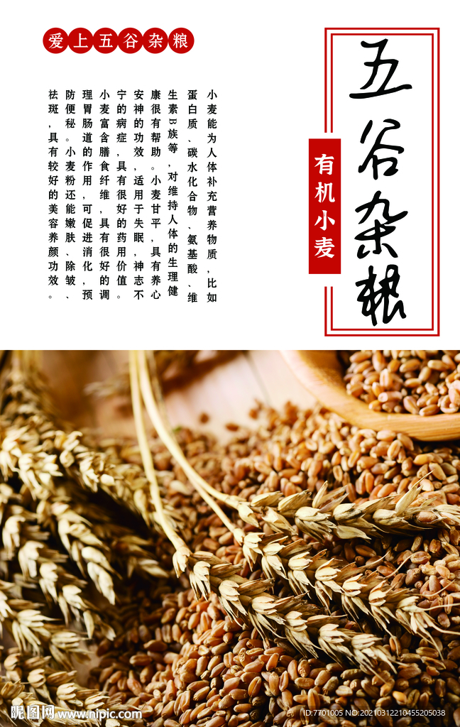有机小麦海报