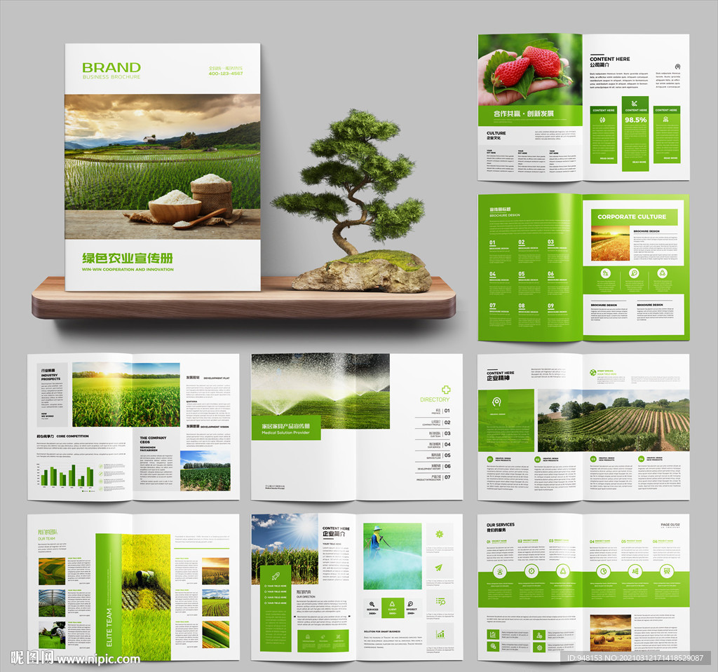 农业画册 农产品宣传册