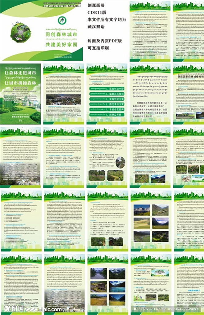 创建森林城市