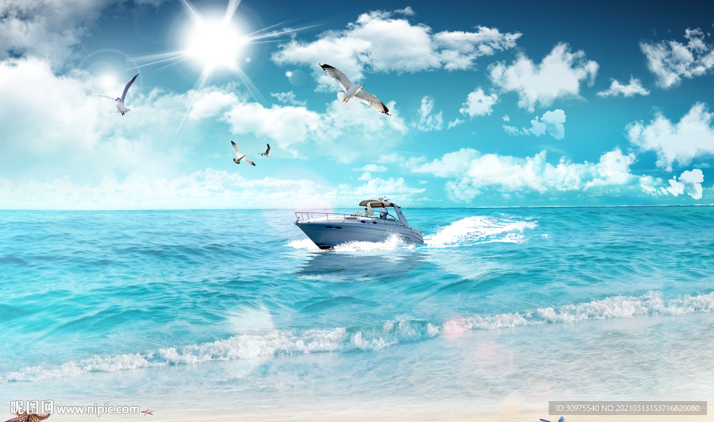 蓝天白云海鸥海景