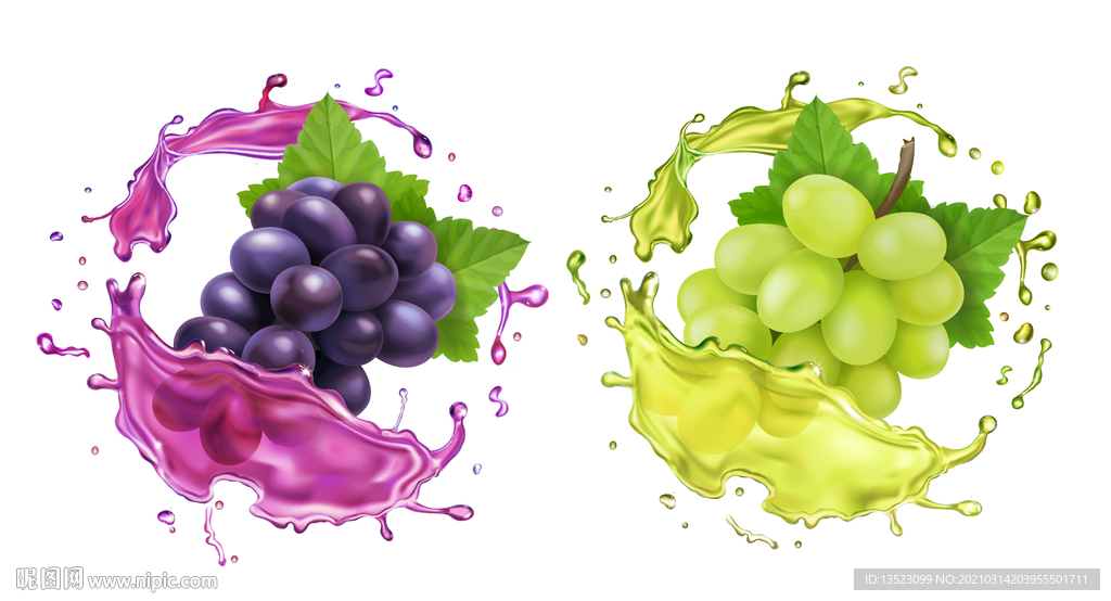 紫色葡萄 葡萄水果