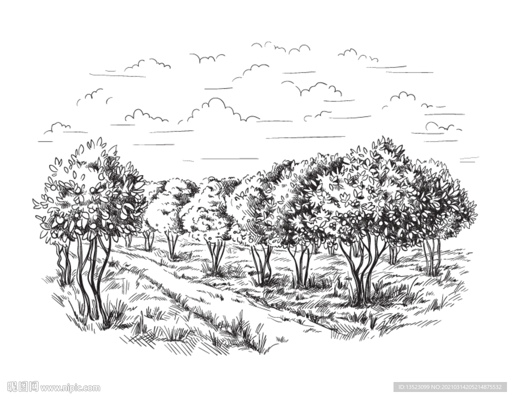 树木插画 果园手绘