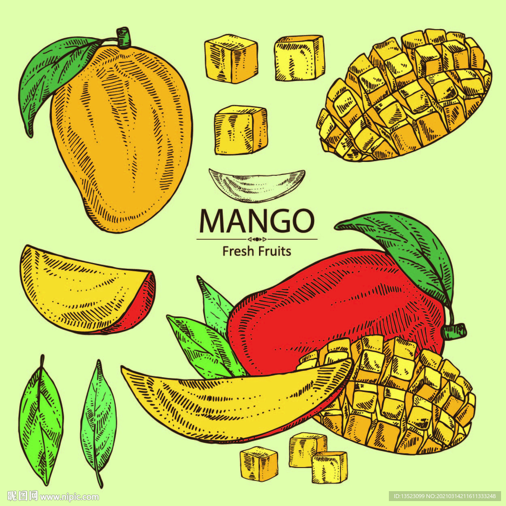 芒果插画 水果手绘