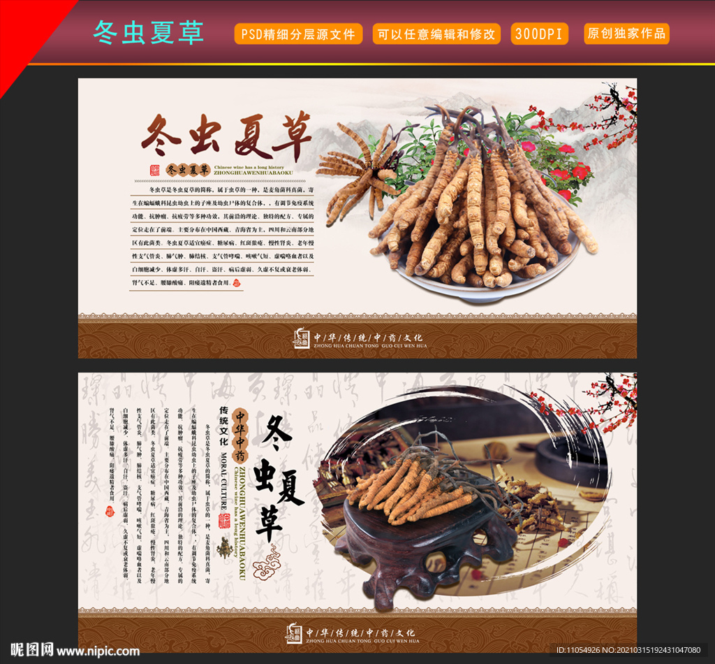 冬虫夏草