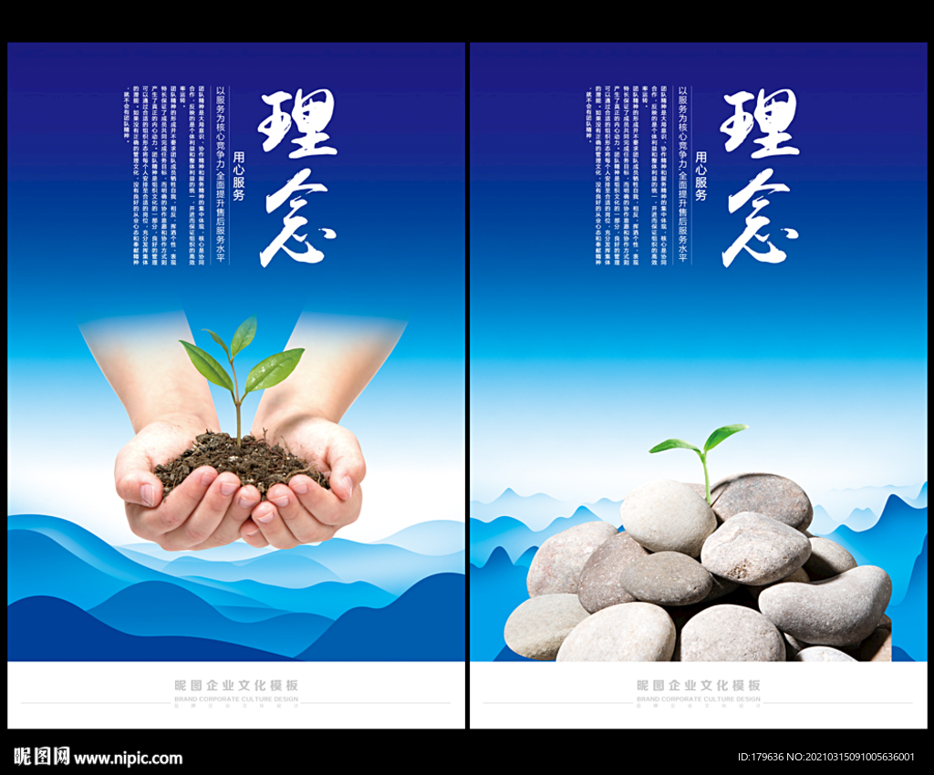 幼苗成长 呵护 坚韧不拔