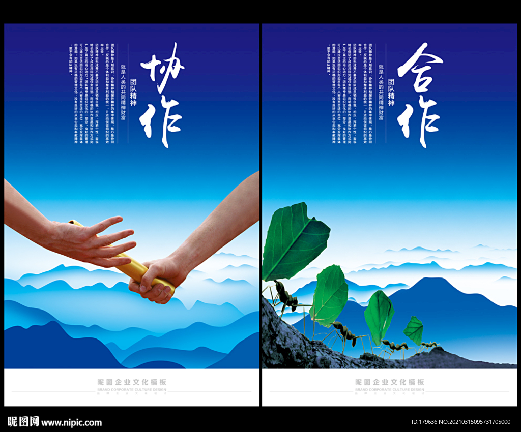 协作精神