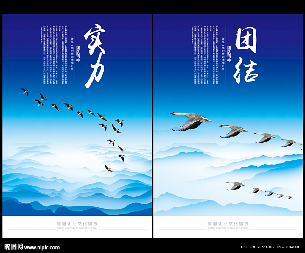 大雁团队