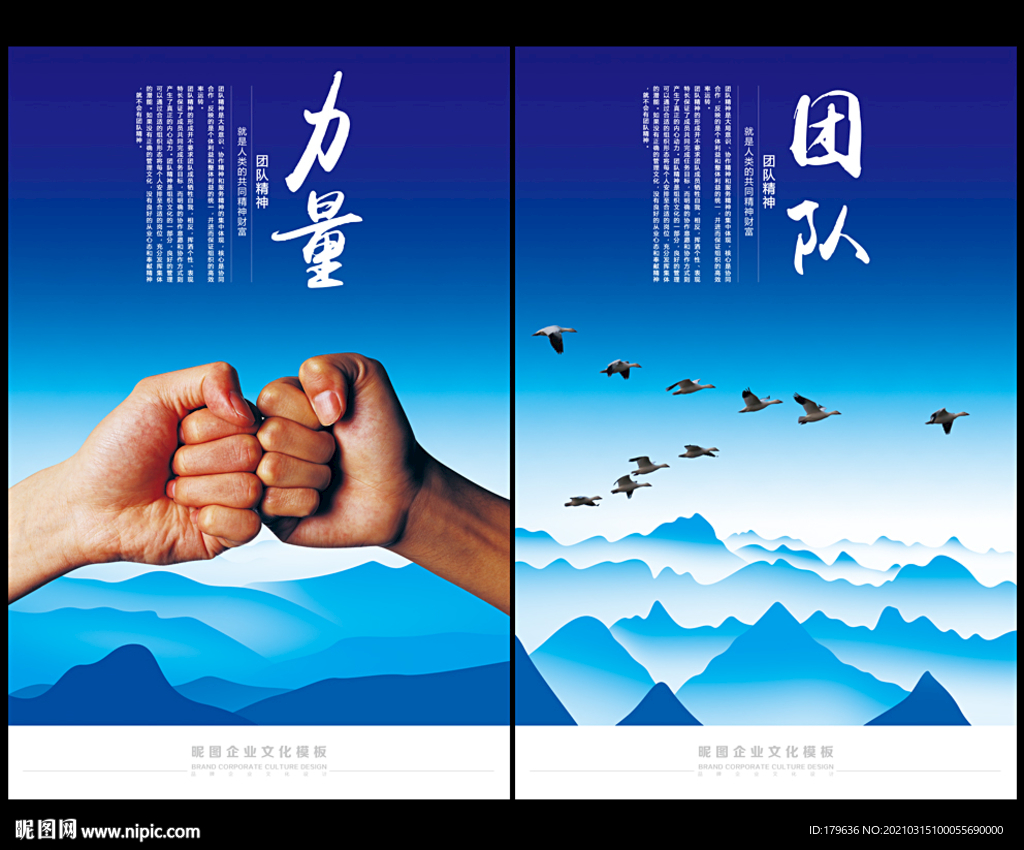 团队