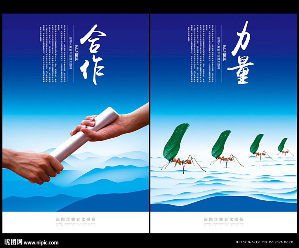 蚂蚁团队