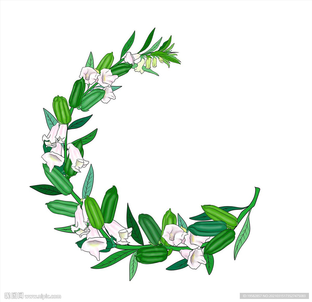 手绘芝麻