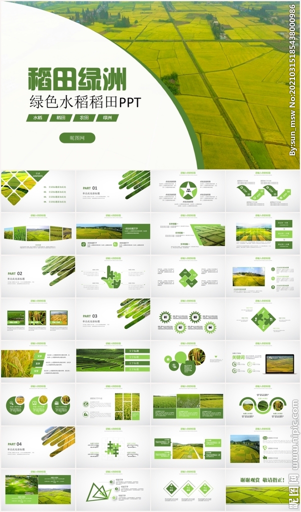 水稻农田绿洲大米PPT模板农业