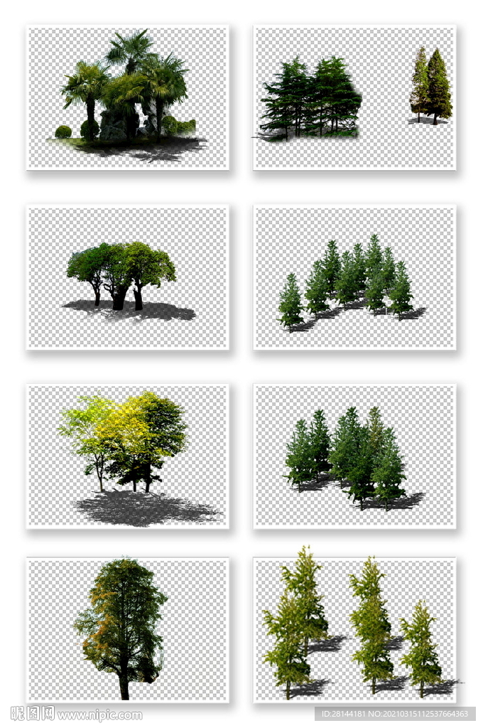 PS园林植物素材