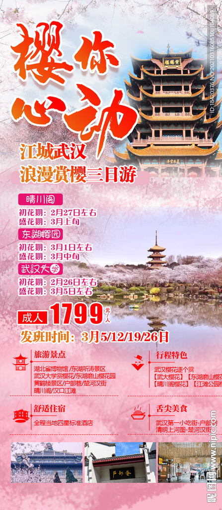 武汉赏樱