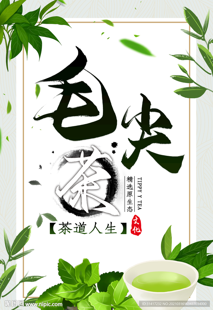 毛尖茶