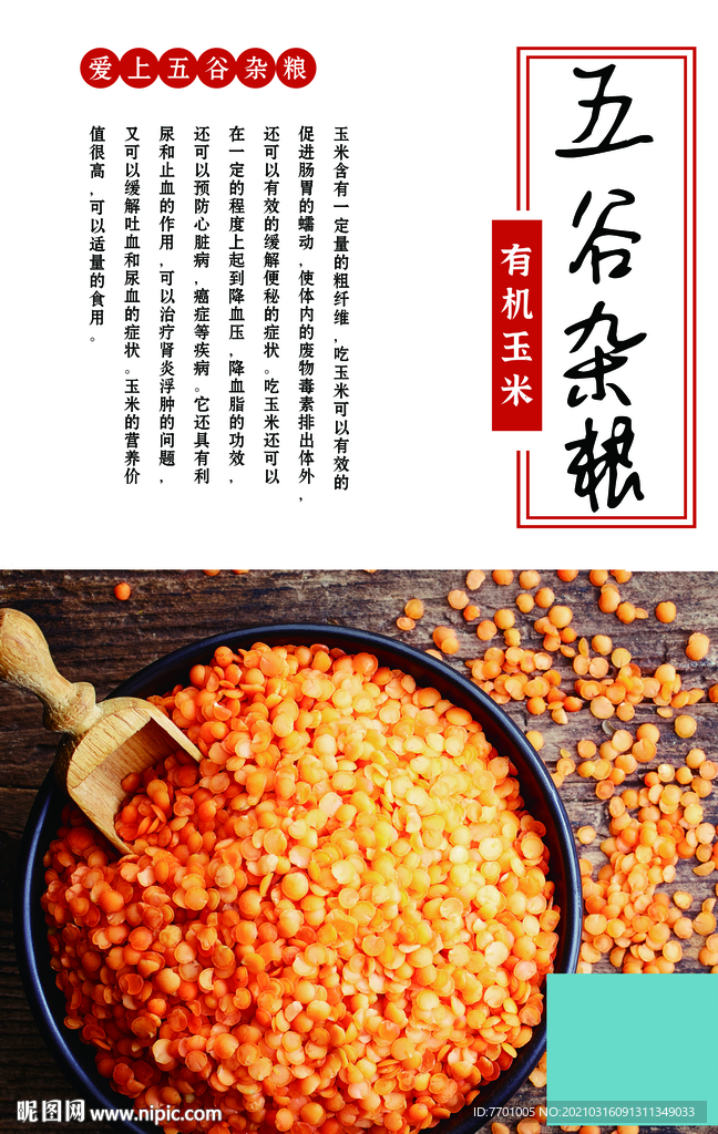 农业  有机食品海报