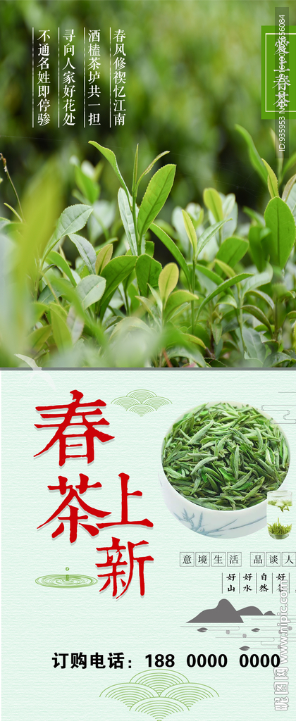 新茶上市