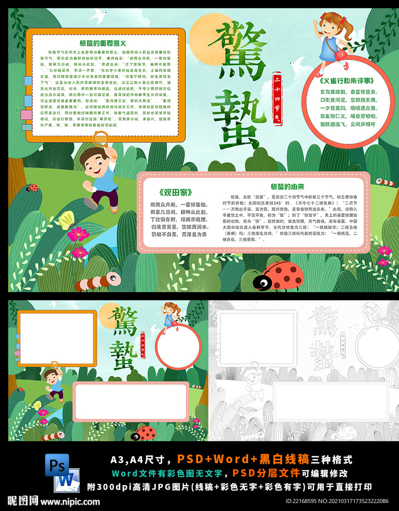 惊蛰节气二十四传统节气小报