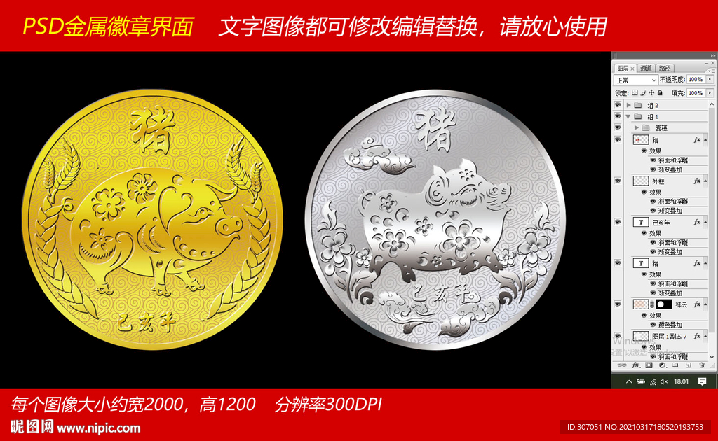 十二生肖猪年纪念币