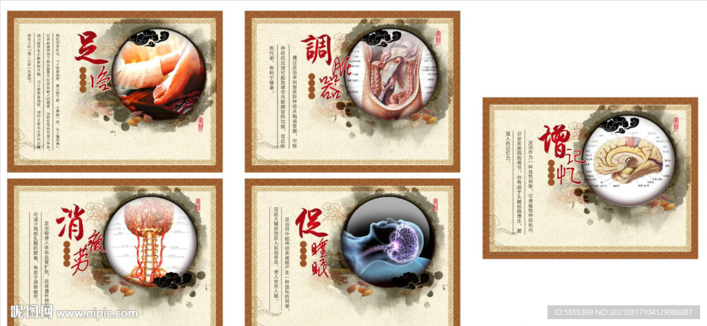 中医展板  中医文化