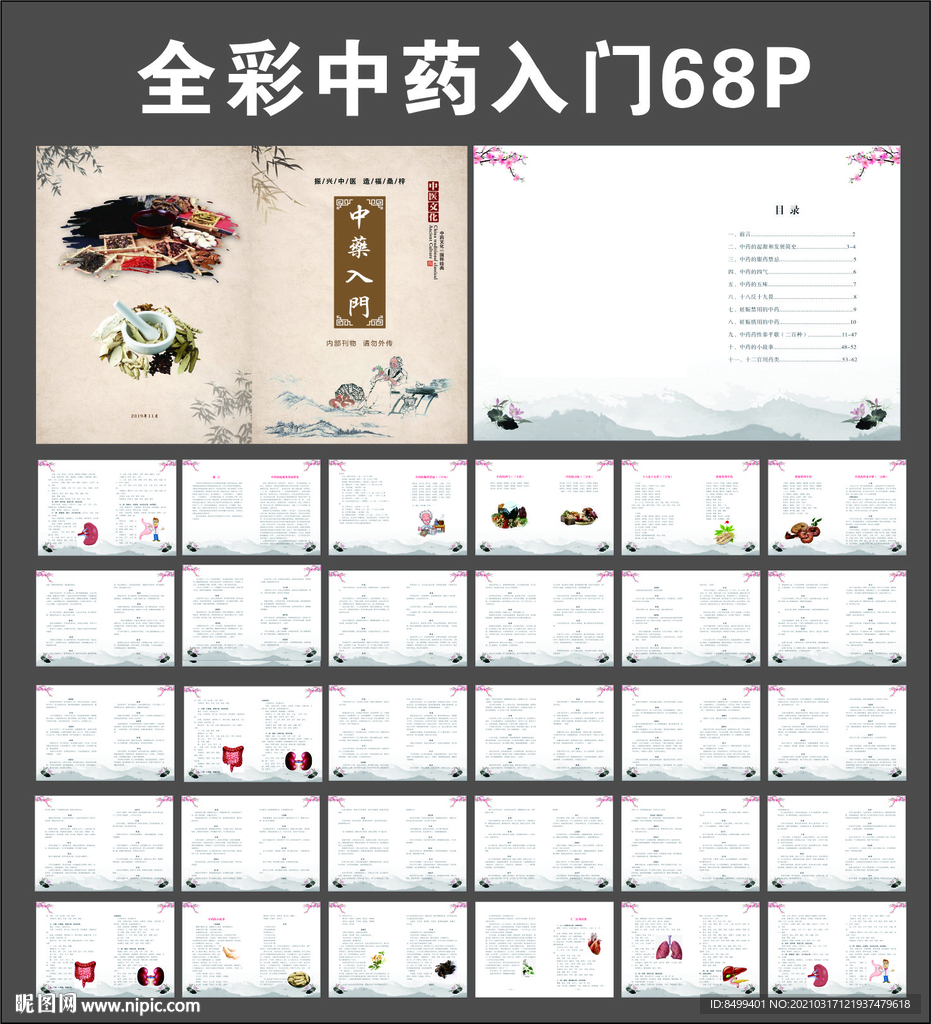中药入门书画册