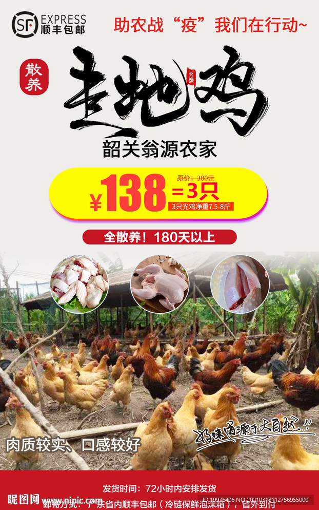 走地鸡