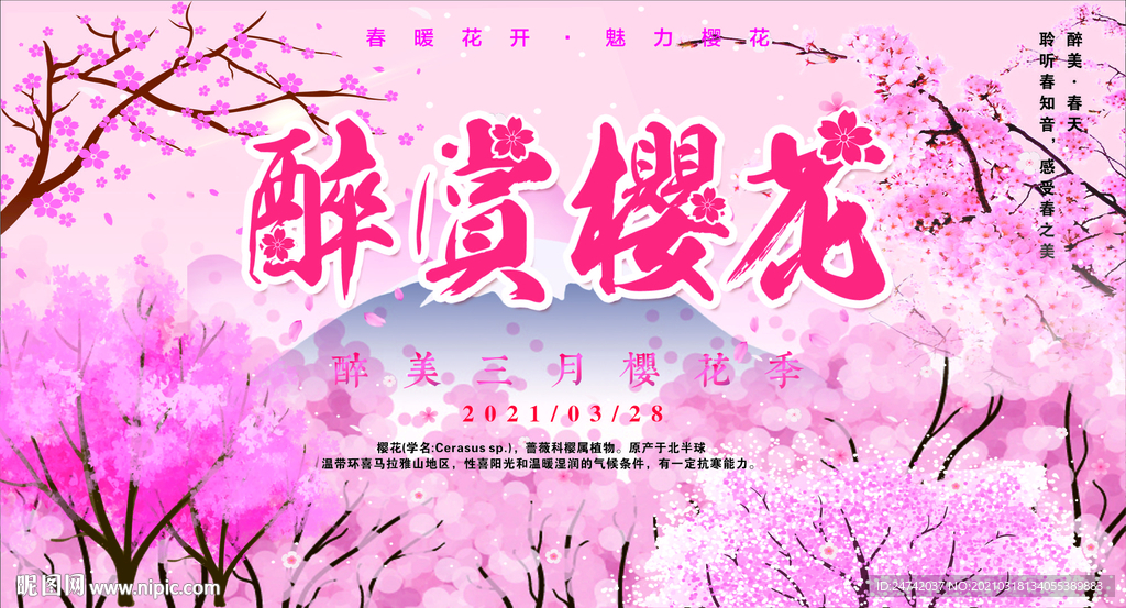 樱花