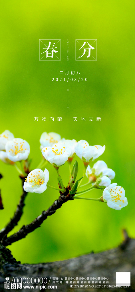 春分二十四节气