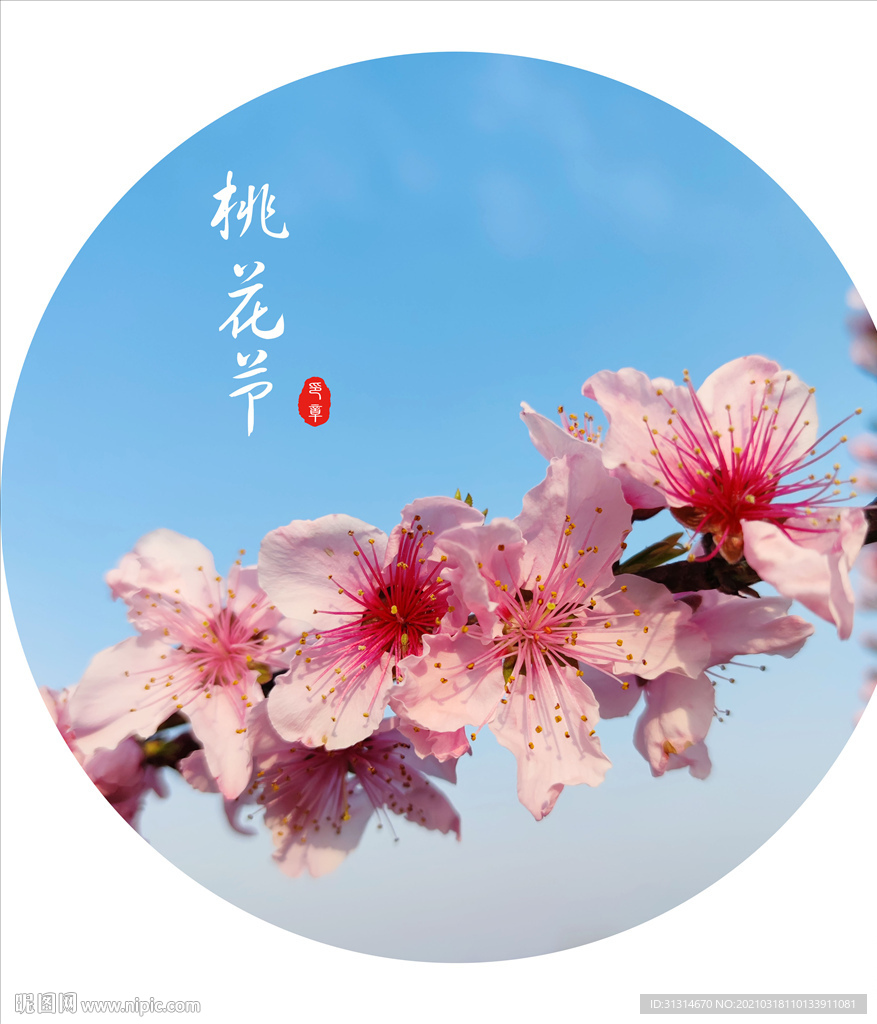 桃花节