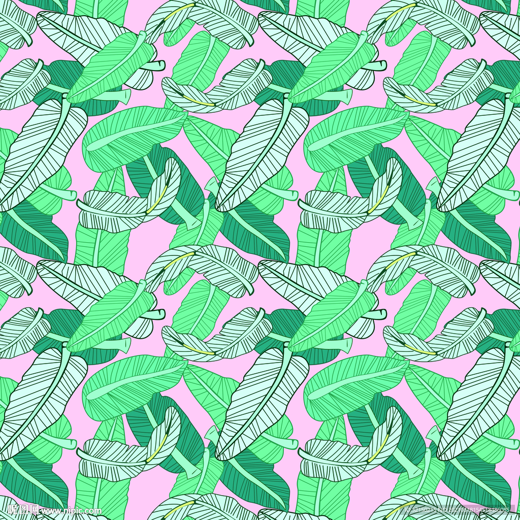叶子