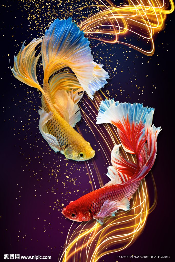 鲤鱼晶瓷画玄关