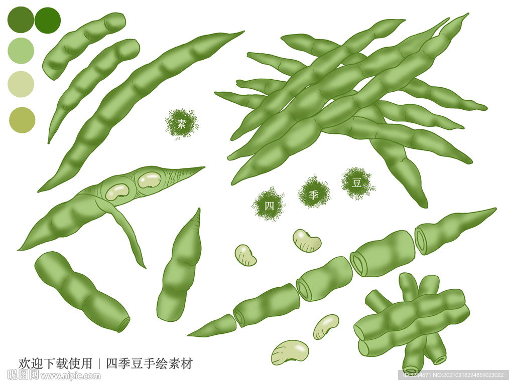 四季豆手绘素材
