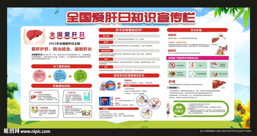 爱肝护肝宣传