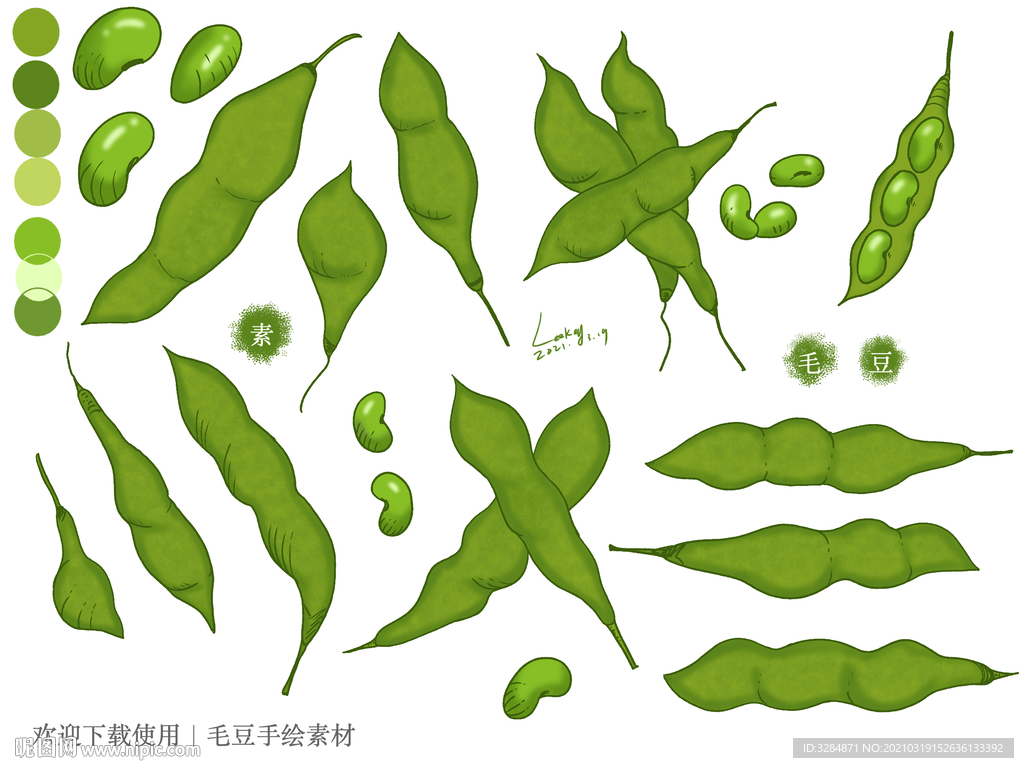 毛豆手绘素材