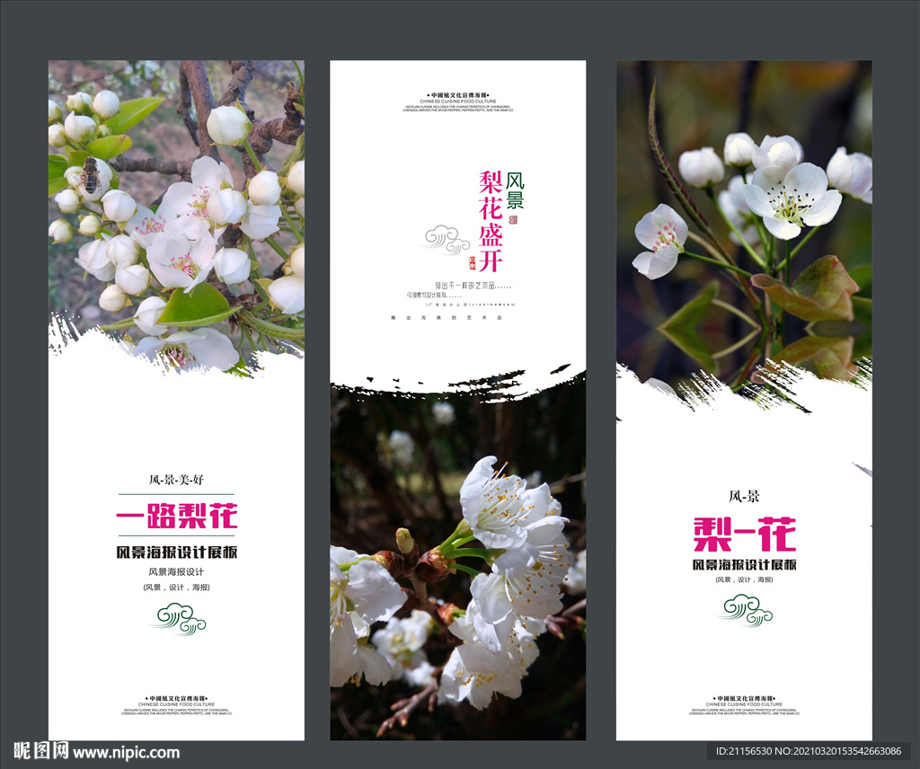 梨花海报