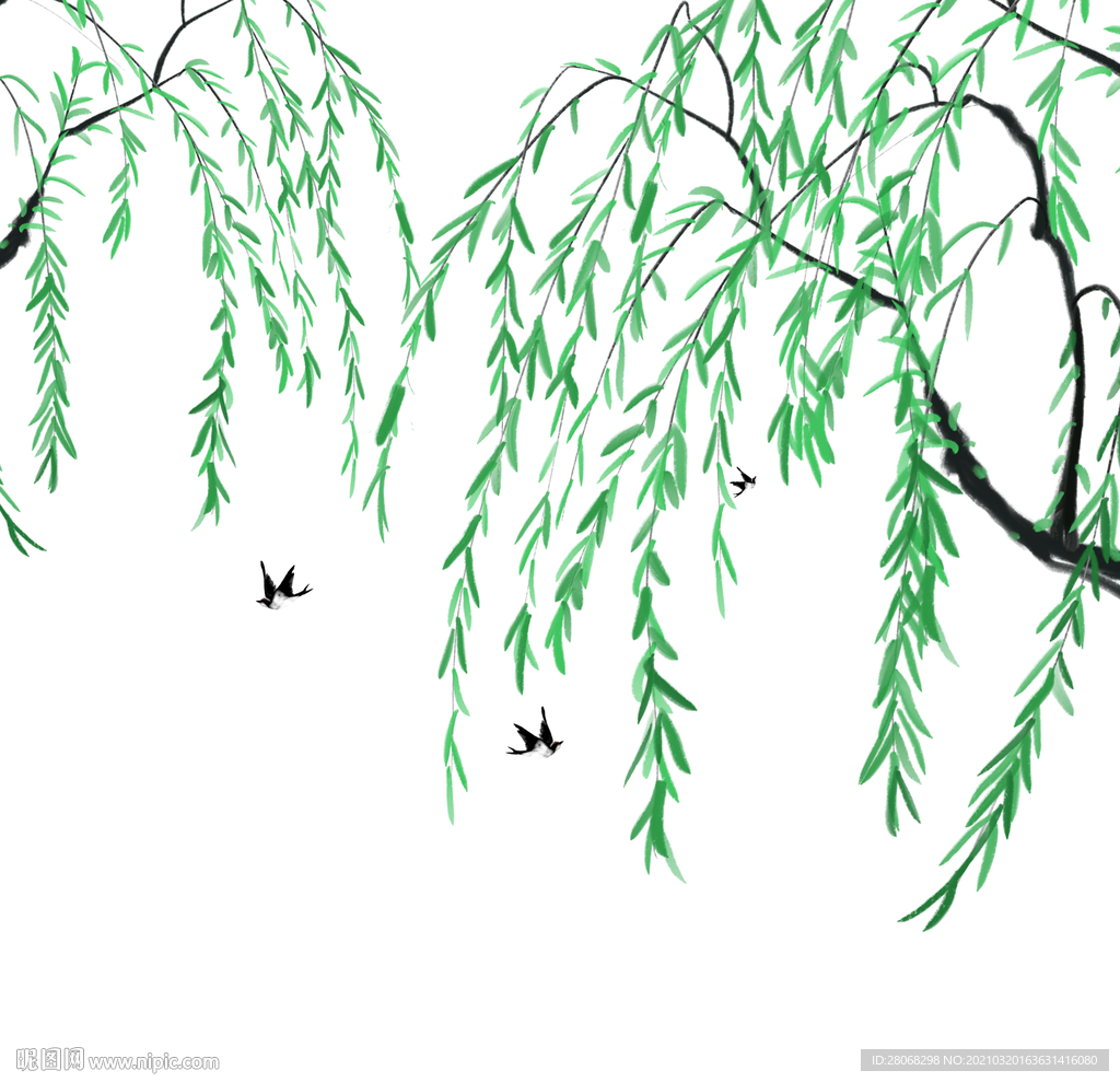 夏季插画柳树植物元素