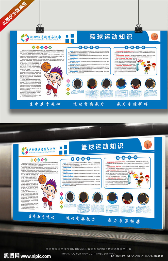 篮球运动知识展板