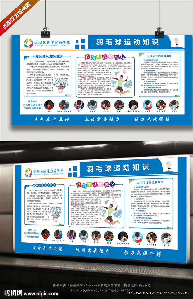 羽毛球运动知识宣传展板