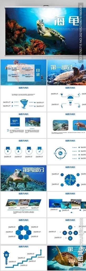 蓝色海洋深海海龟动态PPT模板