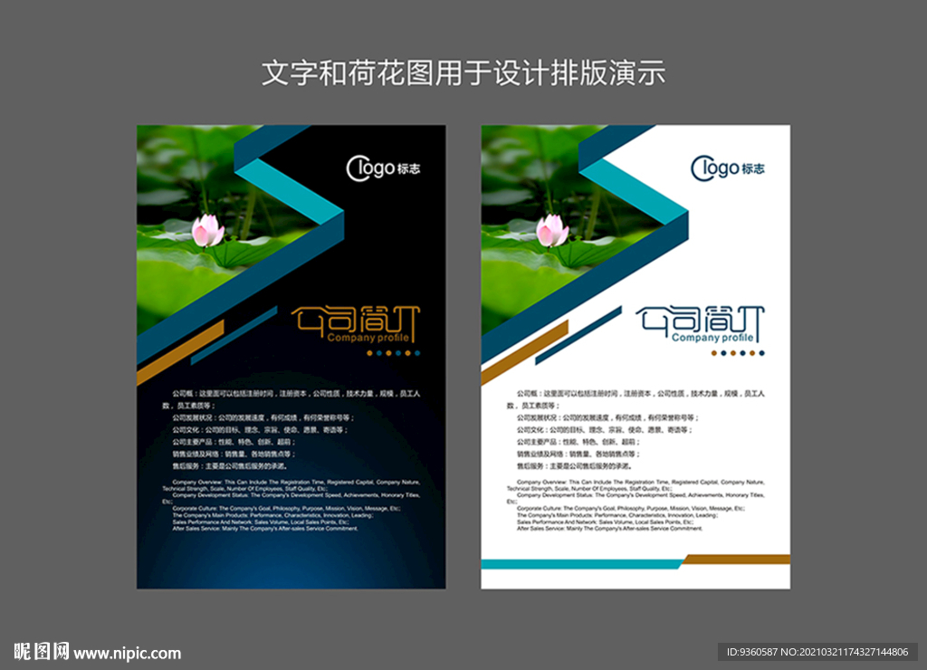 公司简介