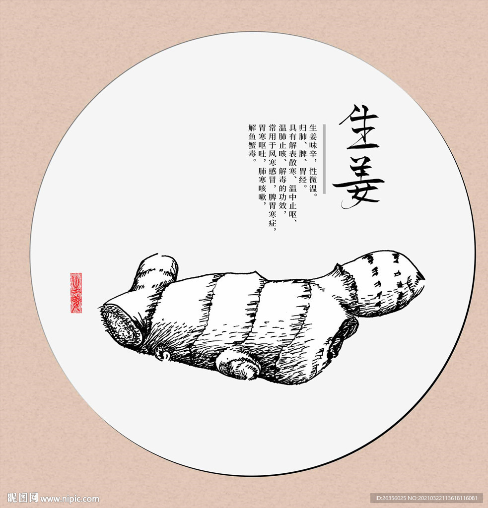 插画姜
