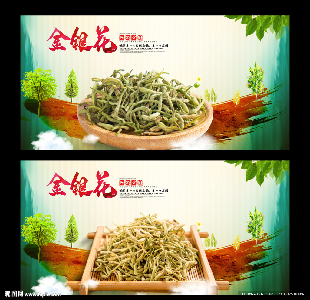 金银花