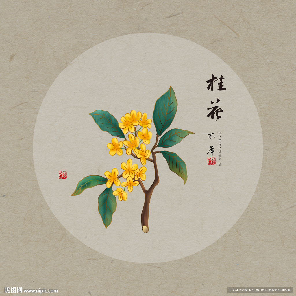 手绘桂花